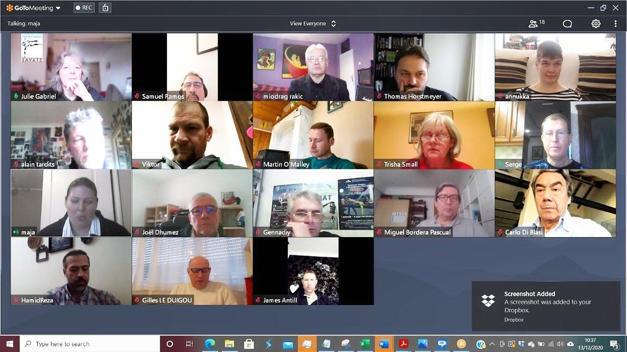 FISav CDI virtual meeting